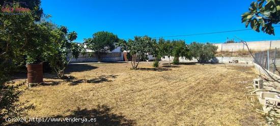  CASA INDEPENDIENTE EN BARRIO JARANA - CADIZ 