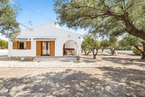 Alquiler de larga duración en El Campello: Vivienda unifamiliar con jardín - ALICANTE