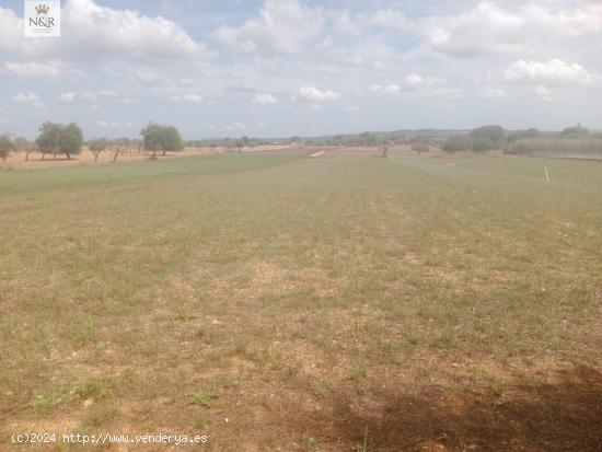 FINCA RÚSTICA EN INCA CON BUEN ACCESO - BALEARES