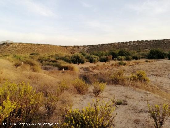  FANTÁSTICO TERRENO EN CAÑADAS DEL ROMERO (MAZARRÓN) - MURCIA 