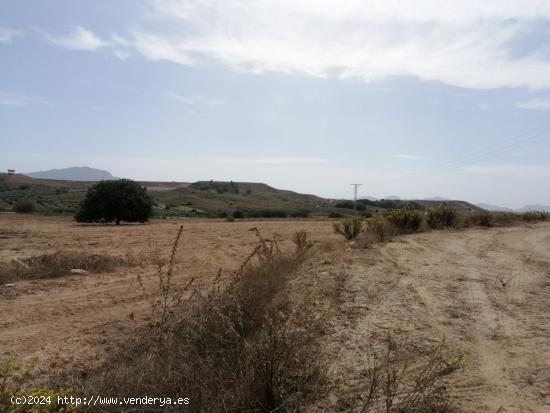 FANTÁSTICO TERRENO EN CAÑADAS DEL ROMERO (MAZARRÓN) - MURCIA