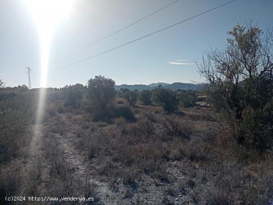  TERRENO DE 12.000 M2 CON PUNTO DE AGUA EN SAX - ALICANTE 