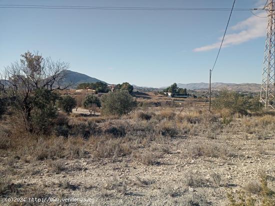 TERRENO DE 12.000 M2 CON PUNTO DE AGUA EN SAX - ALICANTE