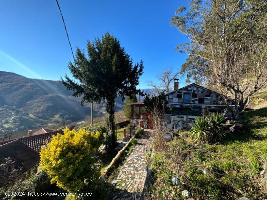 ¡¡¡OPORTUNIDAD ÚNICA!!! DOS CASAS, EXTENSO TERRENO, CUADRA Y TENDEJÓN.  TURÓN, MIERES. ASTURIA