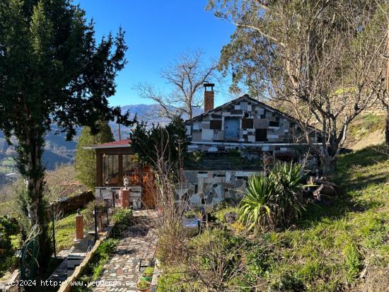 ¡¡¡OPORTUNIDAD ÚNICA!!! DOS CASAS, EXTENSO TERRENO, CUADRA Y TENDEJÓN.  TURÓN, MIERES. ASTURIA