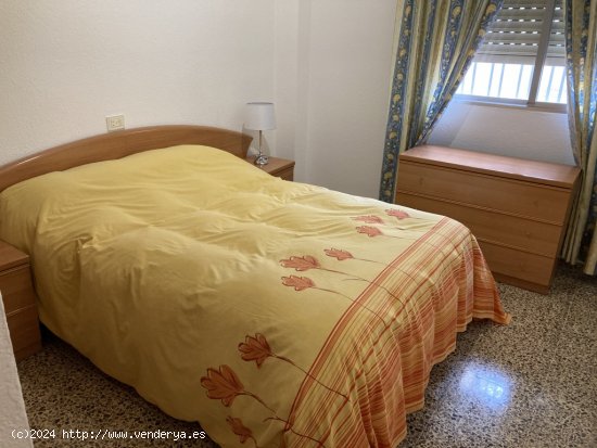 Apartamento en Compartir en Castelló De La Plana(Castellón De La Plana) Castellón CAMINO LA PLANA