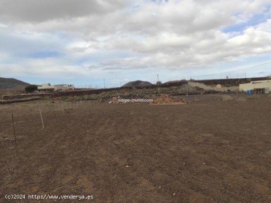 ¡OPORTUNIDAD! Terreno en La Oliva