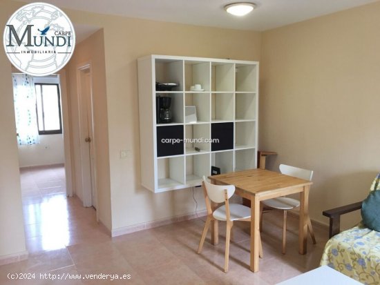 Apartamento en Oasis Dunas.Corralejo