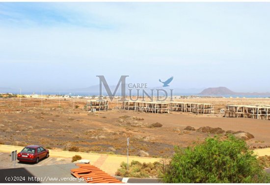 Apartamento vista mar en Corralejo