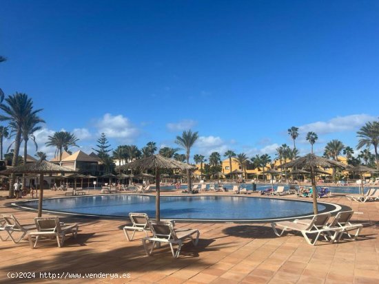 Piso en venta cerca del mar en Corralejo, Fuerteventura. ¡Descubre tu oasis isleño hoy mismo!