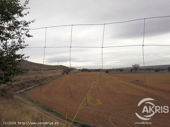 TERRENO RUSTICO EN CIEMPOZUELOS