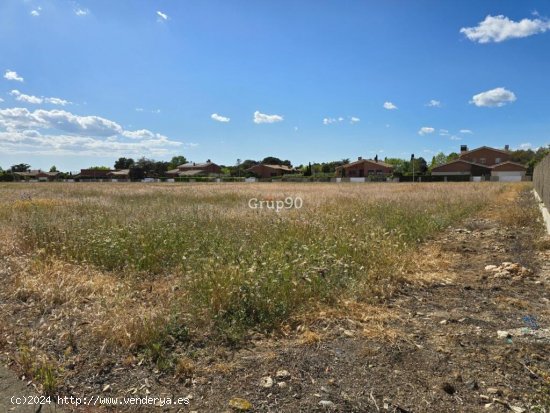 TERRENO EN LA URBANIZACION BUENOS AIRES – ALPICAT, LLEIDA