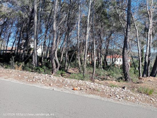 plot for sale Can Lloses urbanization, Sant Pere de Ribes - BARCELONA