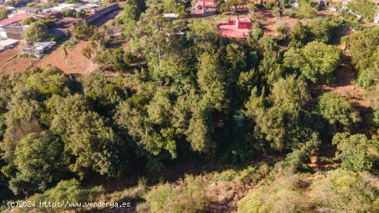 CHALET CON  FANTASTICO MONTE EN LA ESPERANZA - SANTA CRUZ DE TENERIFE