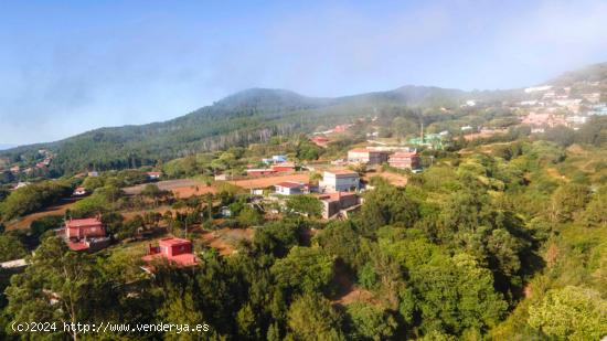 CHALET CON  FANTASTICO MONTE EN LA ESPERANZA - SANTA CRUZ DE TENERIFE