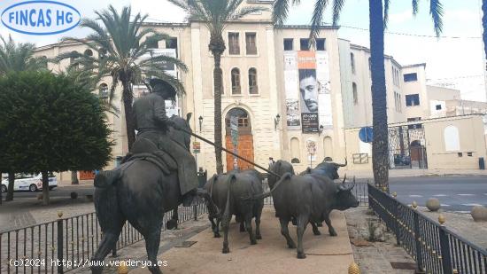 solar urbano cerca de la plaza de toros de Alicante - ALICANTE