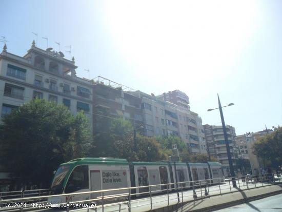 PISAZO CON CALEFACCIÓN EN ZONA DE PAJARITOS , SOLAMENTE PARA ESTUDIENTES - GRANADA