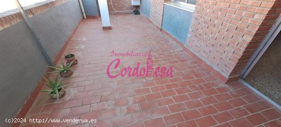 Se Vende en Córdoba - CORDOBA