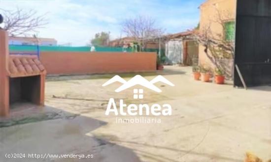 VENTA DE PARCELA EN PARAJE OSUNA - ALBACETE