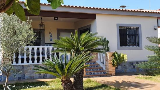 CASA INDEPENDIENTE EN VILLAMARTIN CON PARCELA DE 800 M2. 4 DORM. 3 BAÑOS. - ALICANTE