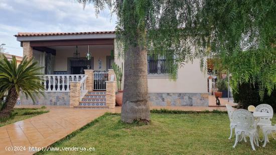 CASA INDEPENDIENTE EN VILLAMARTIN CON PARCELA DE 800 M2. 4 DORM. 3 BAÑOS. - ALICANTE