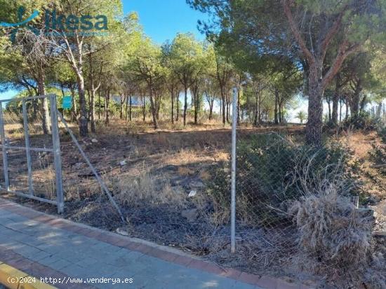 Terreno en venta en Acebuche, Dehesa - HUELVA