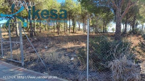 Terreno en venta en Acebuche, Dehesa - HUELVA