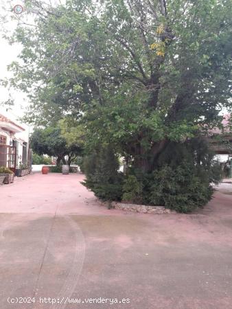 API LUNA INMOBILIARIA VENDE RESTAURANTE CON CASA Y TERRENO - ALBACETE