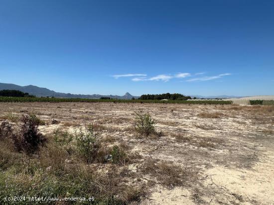 Parcela en Ascoy - MURCIA