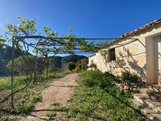  FINCA AGRARIA REGADIO CON CORTIJO PARA REFORMAR - MALAGA 