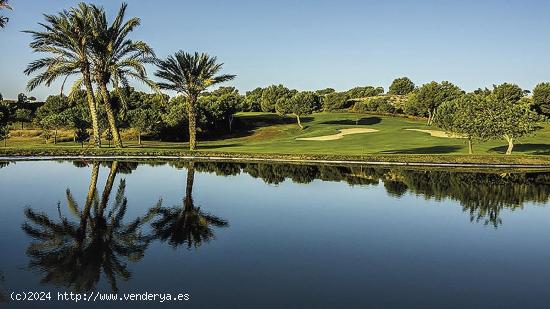  COMPLEJO RESIDENCIAL DE OBRA NUEVA EN ALENDA GOLF, ALICANTE - ALICANTE 