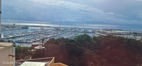 Gran ático con vistas al puerto y la avenida. - ALICANTE