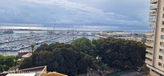 Gran ático con vistas al puerto y la avenida. - ALICANTE