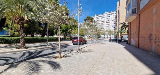 Local muy luminoso para alquilar - ALICANTE