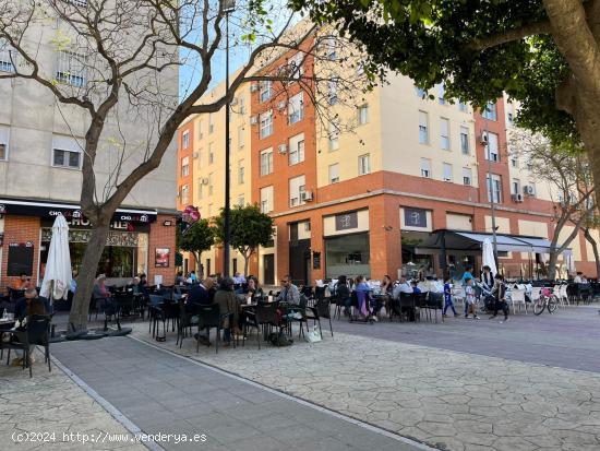 DISPONIBLE PLAZA DE LA ALEGRIA - CADIZ