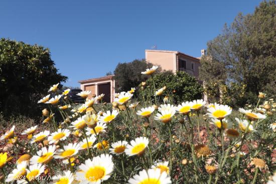 !Tu paraíso en Mallorca te espera! - BALEARES