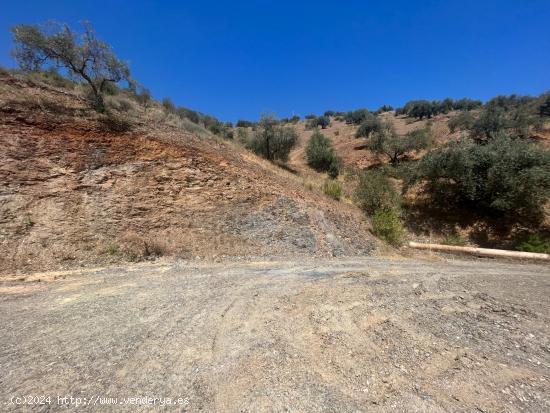  PARCELAS A LA VENTA EN COLMENAR,MÁLAGA!!!! ESPECTACULARES VISTAS!!!!!!! - MALAGA 