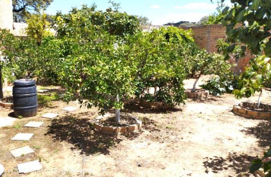 SOLAR DE 300M2 EN LA LOCALIDAD DE GERENA, SEVILLA. - SEVILLA