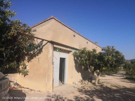 Terreno rural en venta en Albaida - VALENCIA