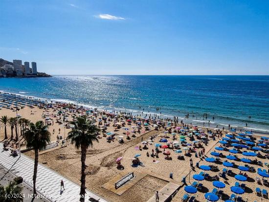 Se Vende en Benidorm - ALICANTE