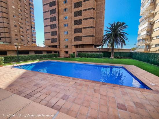 Se Vende en Benidorm - ALICANTE