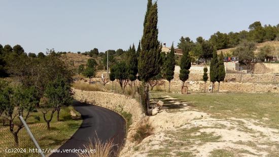 TERRENO DE MAS DE 15.000M EN PLENA NATURALEZA - ALICANTE