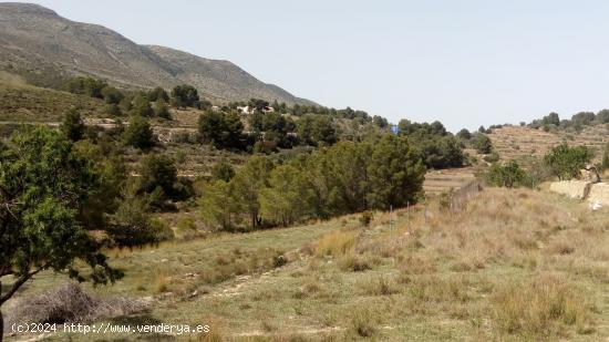 TERRENO DE MAS DE 15.000M EN PLENA NATURALEZA - ALICANTE