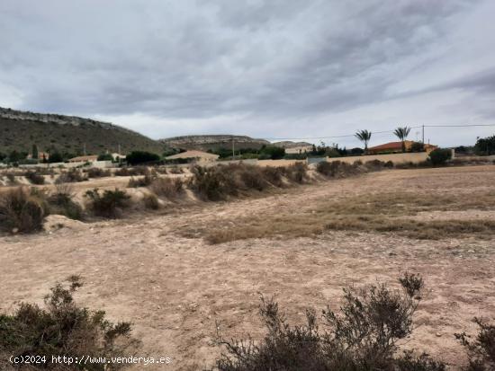  22000 METROS CUADRADOS TERRENOS RÚSTICOS EN BACAROT CERCA DEL GOLF RESORT EL PLANTÍO - ALICANTE 