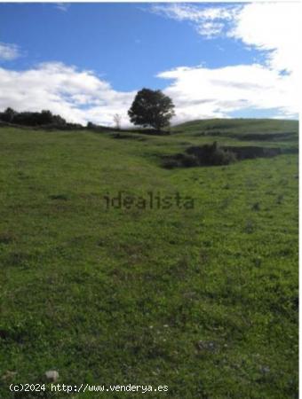 Terreno rustico con edificación - CANTABRIA