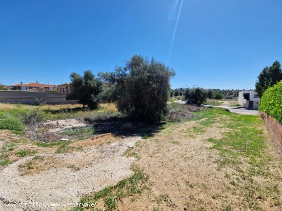  TERRENO URBANO EN ARGÉS 