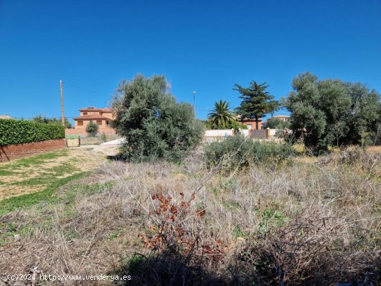 TERRENO URBANO EN ARGÉS