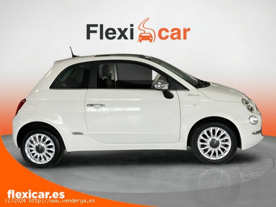 Fiat 500 Cult 1.0 Hybrid 51KW (70 CV) - Alicante