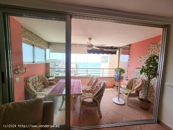 FANTASTICO APARTAMENTO EN LA PLAYA DE LA ALBUFERETA