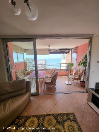 FANTASTICO APARTAMENTO EN LA PLAYA DE LA ALBUFERETA